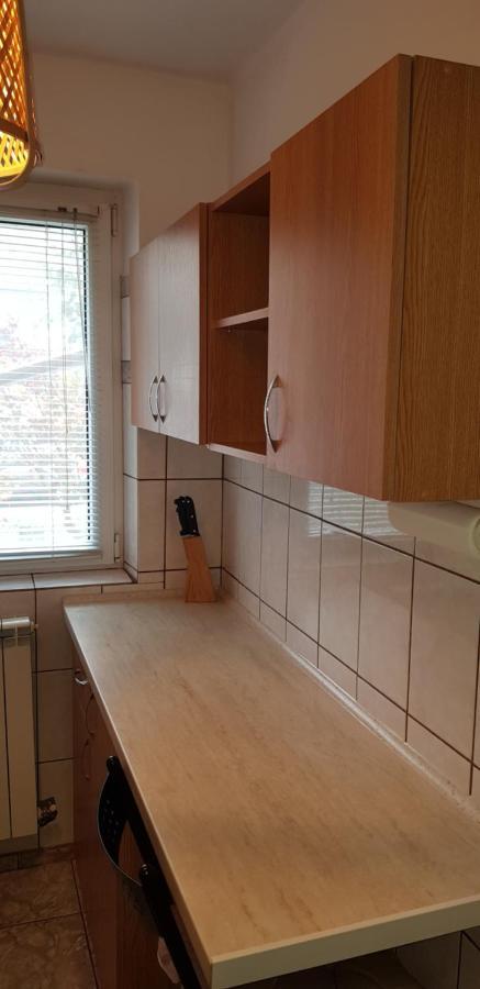 Apartament Silva Buşteni 外观 照片